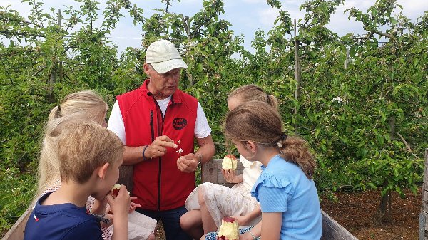 In de bloesemtrein door de boomgaard van Vink Fruitboerderij
