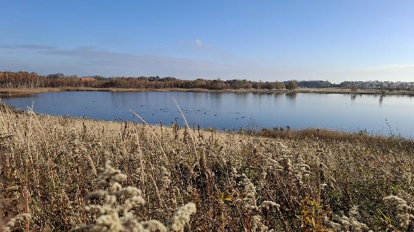 Kinderen lopen de polonaise tijdens Festi Kids