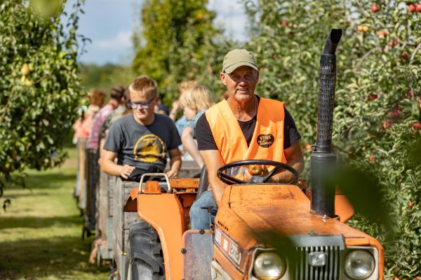 In de bloesemtrein door de boomgaard van Vink Fruitboerderij