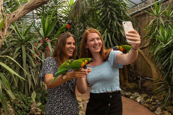 Twee vrouwen maken een selfie met de vogels van de Lori Bush in Pantropica