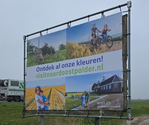 Een schaal vol geplukte helleborusbloemen