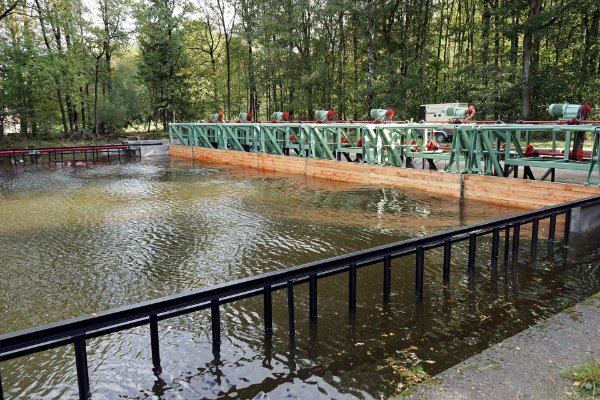 De golfslagbak in het Waterloopbos
