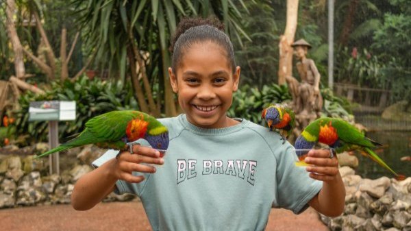 Een meisje voert de papegaaitjes in Pantropica