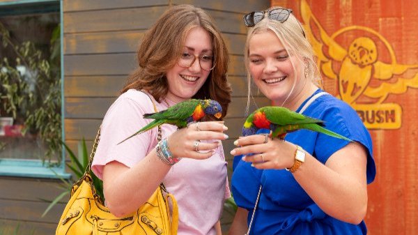 Twee jongen vrouwen voeren de regenbooglori's in de Lori Bush van Pantropica