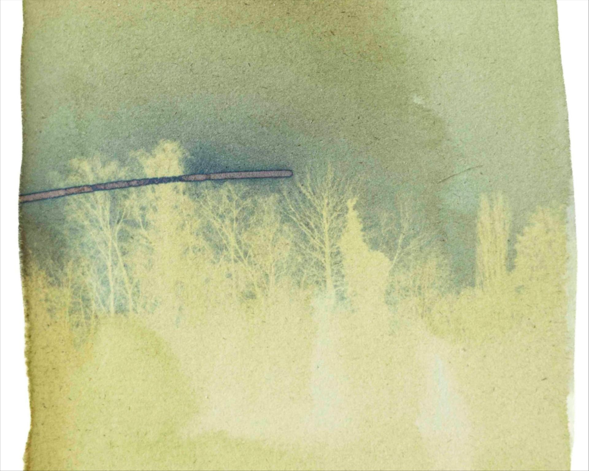 Marijke Beckers