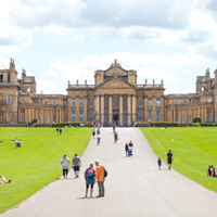 blenheim.bmp