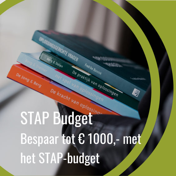 STAP-budget