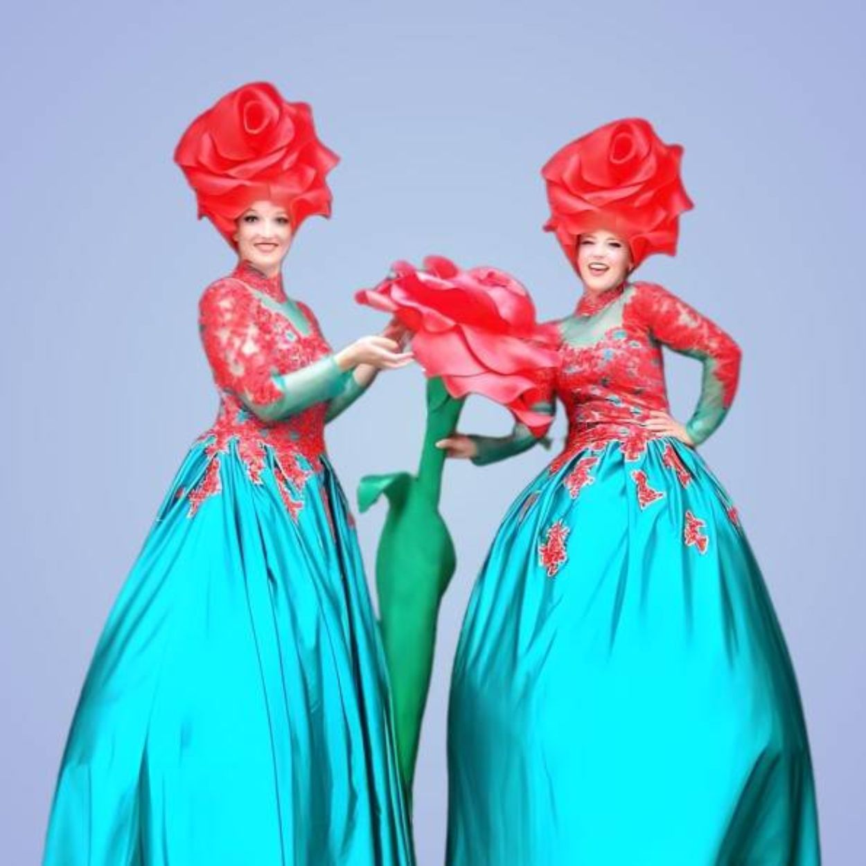 big roses