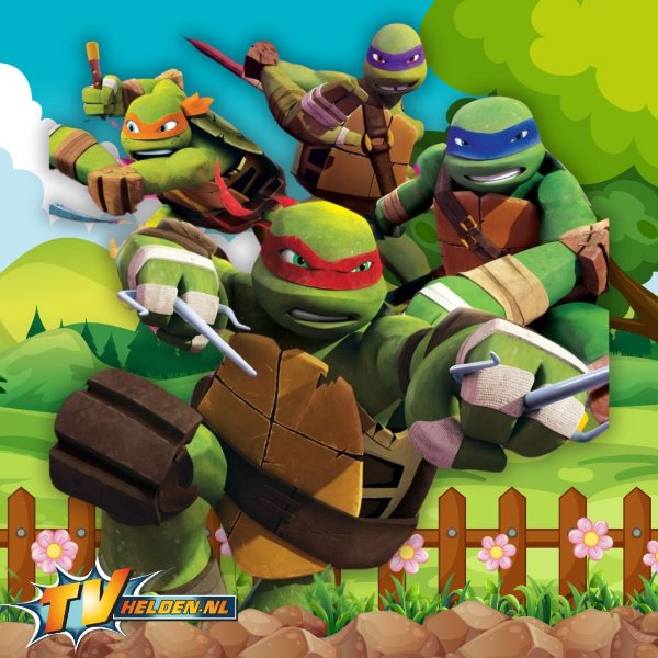 Meet & Greet de Teenage Mutant Ninja Turtles 