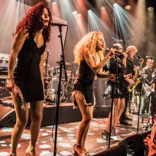 Donna's Hot Stuff Tribute Band