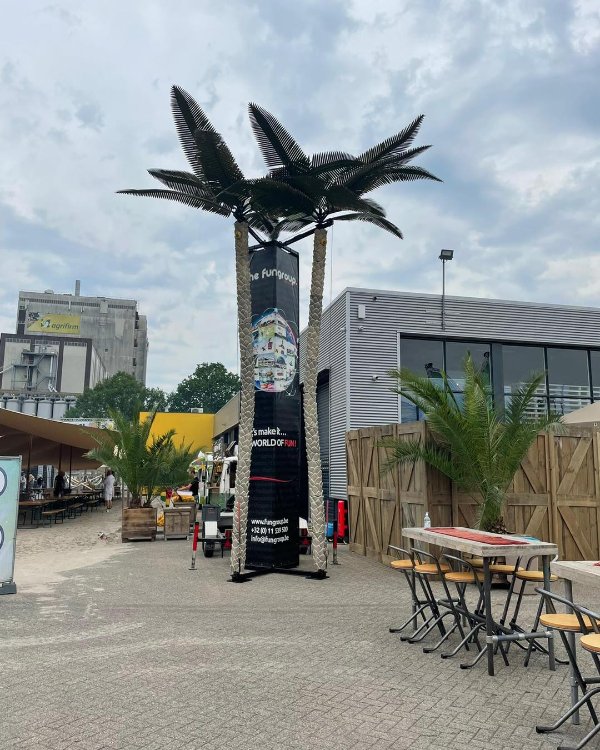 Palmboom Klimmen