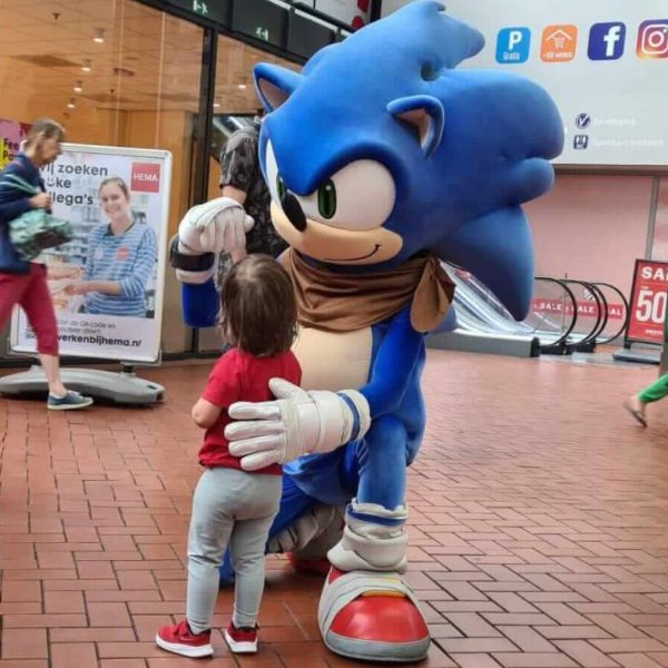 Sonic inhuren?