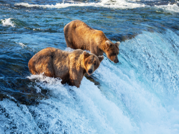Alaska%20%283%29.png