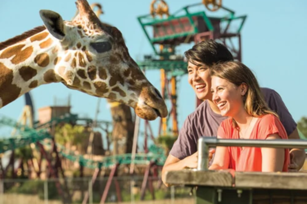 BuschGardens%20%284%29.png