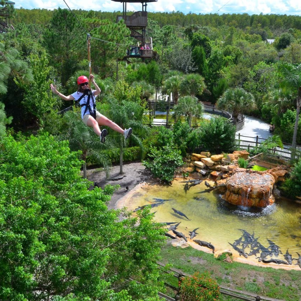 Gatorland_zipline.png