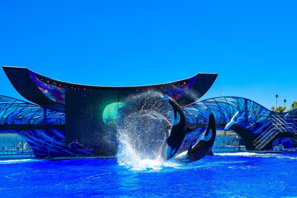 SeaWorld%20%283%29.png