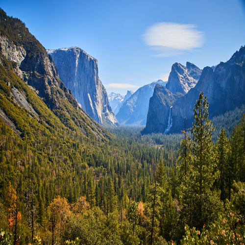 Wonderful West