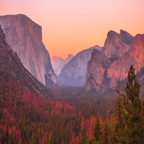 Wonderful West