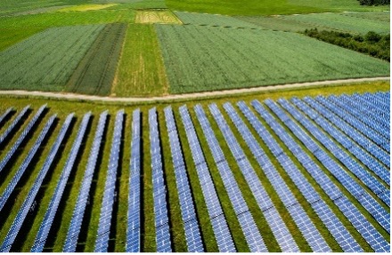 Zonnepanelen in veld