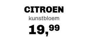 Citroen €19,99