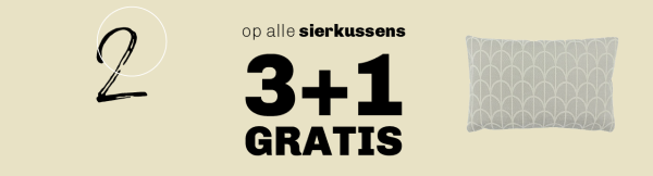 Sierkussens 3+1