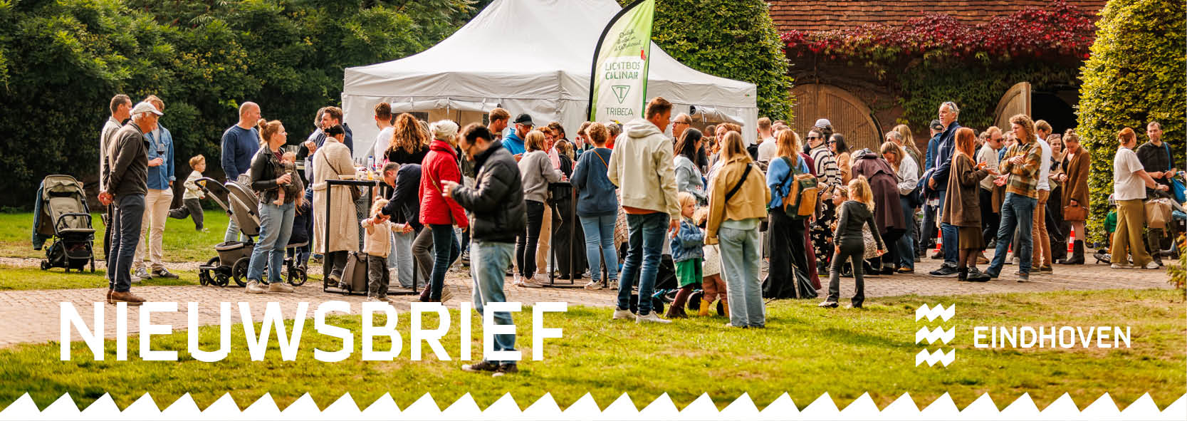 Ontdek de vibe van de Wielewaal. Uitnodiging 27 - 28 september Lichtbos Vibes