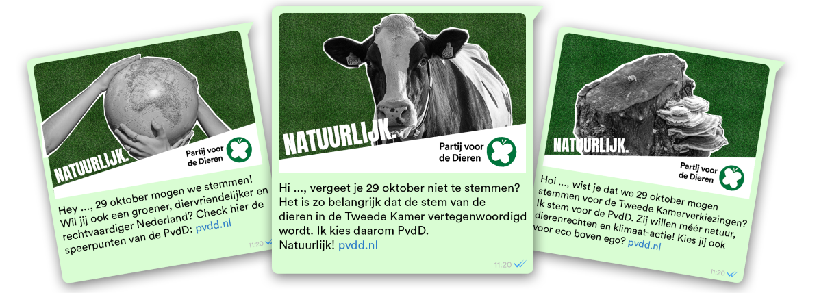 Schotse hooglander