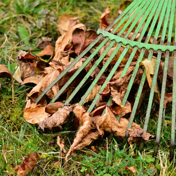 Hersenen in een opgelichte lichtbal