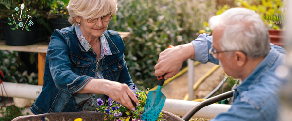Laatste artikelen met groen tips