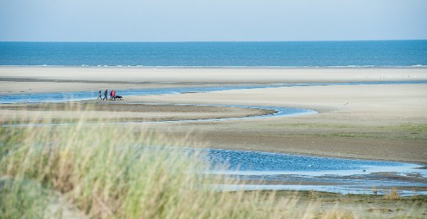 Groene strand bij Ballum
