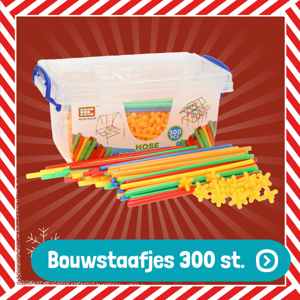 Bouwstaafjes in opbergbox 300st