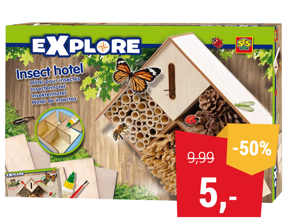 SES Insecten Hotel Knutselen