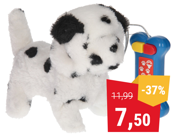 Wandelende Puppy