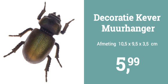 Decoratie Kever Muurhanger Goud