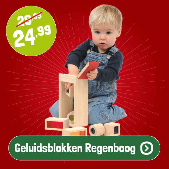 Wonderworld Geluidsblokken Regenboog