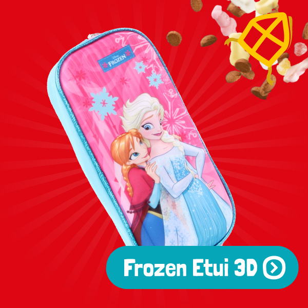 Disney Frozen Etui 3D