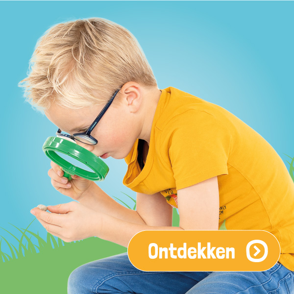 Ontdekken