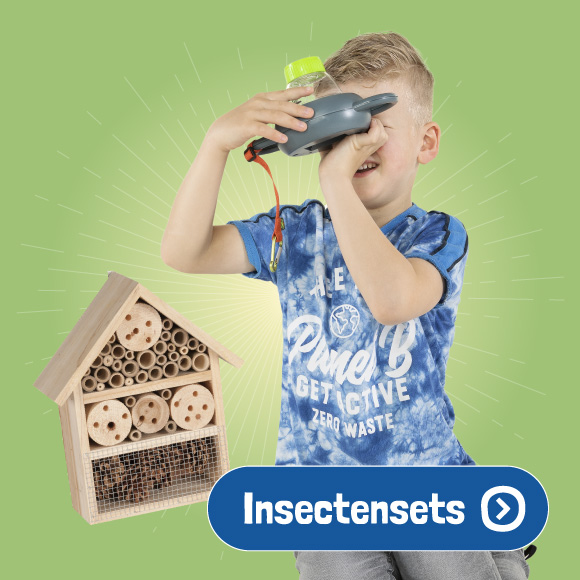 Insectensets