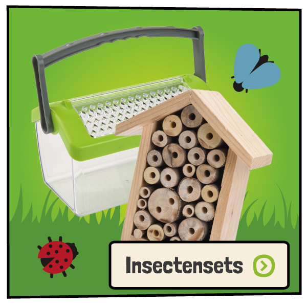 Insectensets