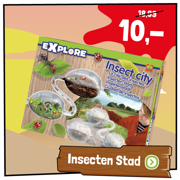SES Insecten Stad