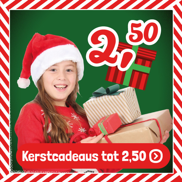 Kerstcadeautjes tot 2,50