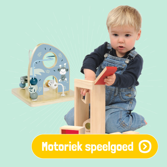 Motoriek speelgoed