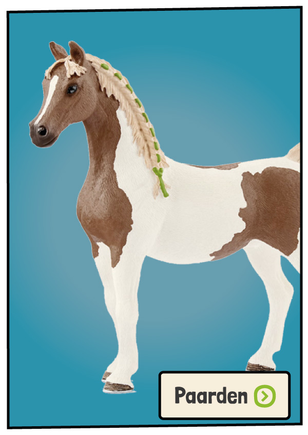 Paarden Speelgoed
