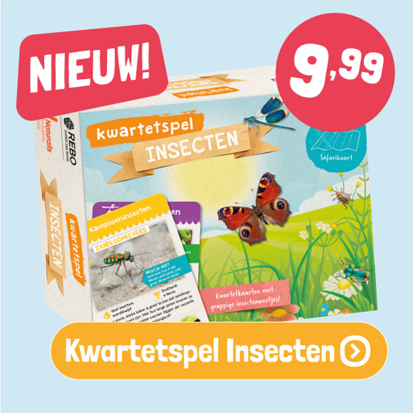 Kwartetspel Insecten