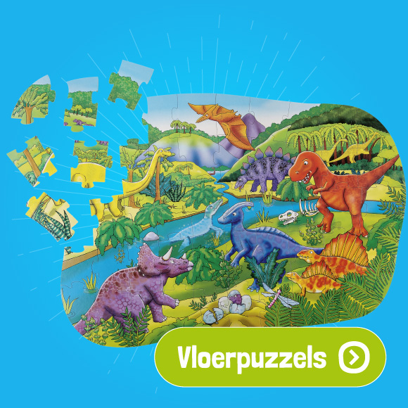 Vloerpuzzels