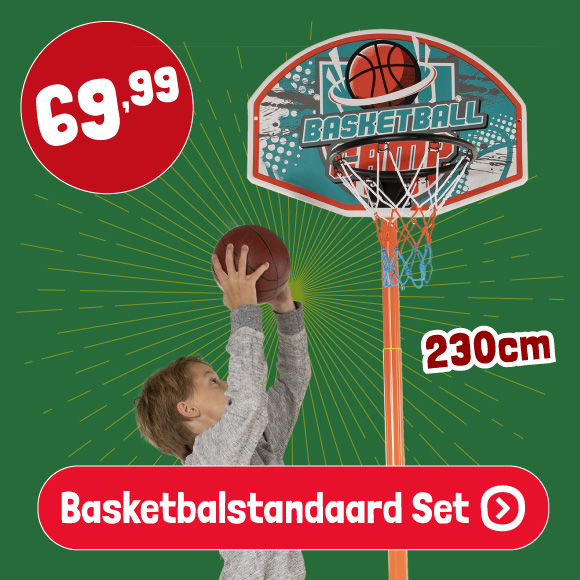 Basketbalstandaard Set, 230cm
