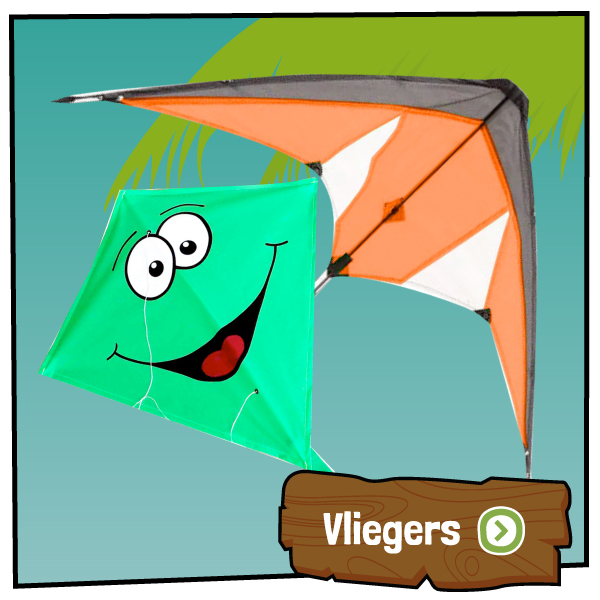 Vliegers