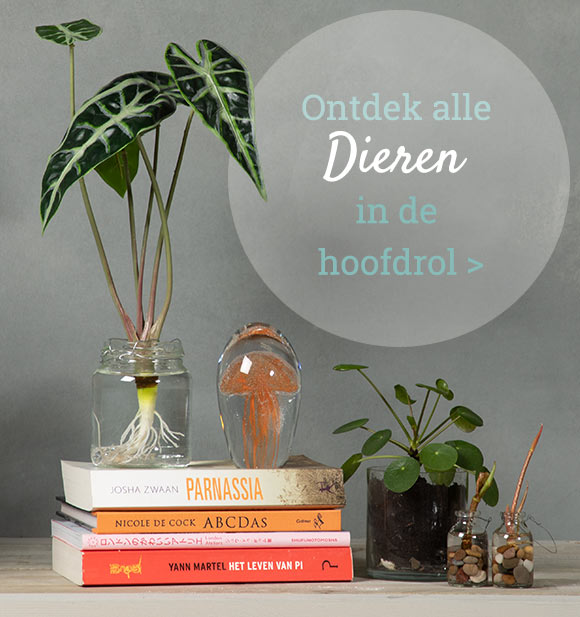 Dieren in de Hoofdrol