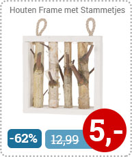 Houten Frame met Stammetjes