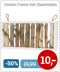 Houten Frame met Stammetjes